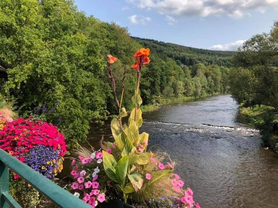 Le Chalet Castor - Camping International - Bomal - Durbuy Eksteriør billede